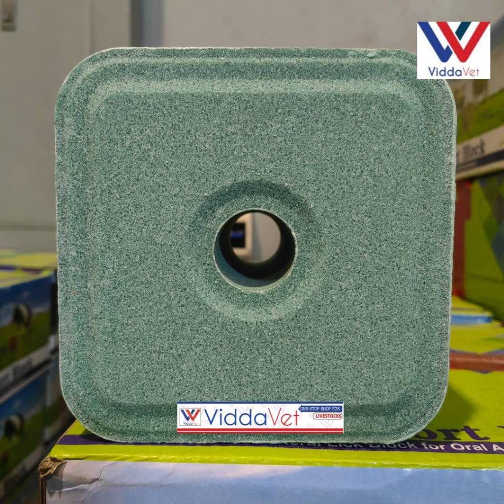 Mineral Block Intro Fort