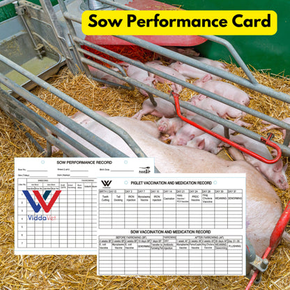 Sow Performance Card PVC