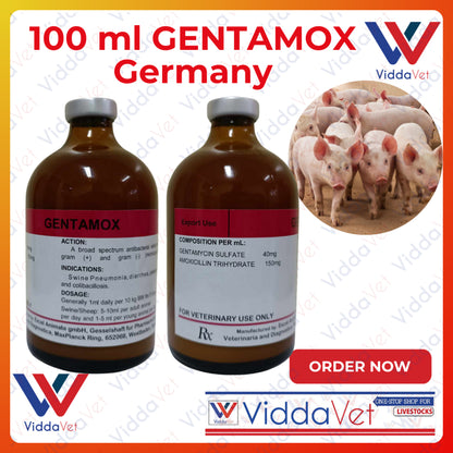 Gentamox Germany 100 mL