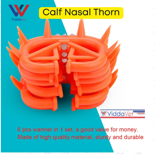Calf Nasal Thorn