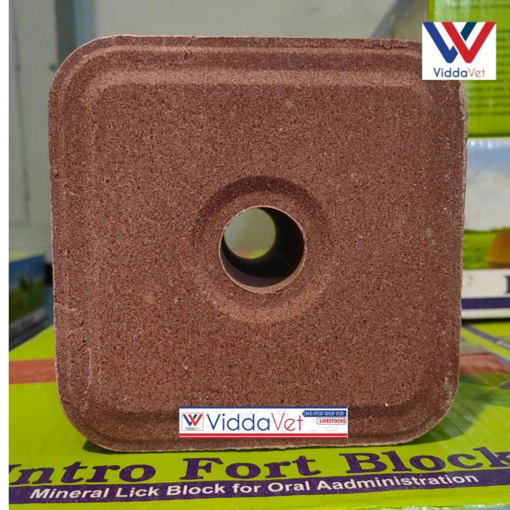 Mineral Block Intro Fort