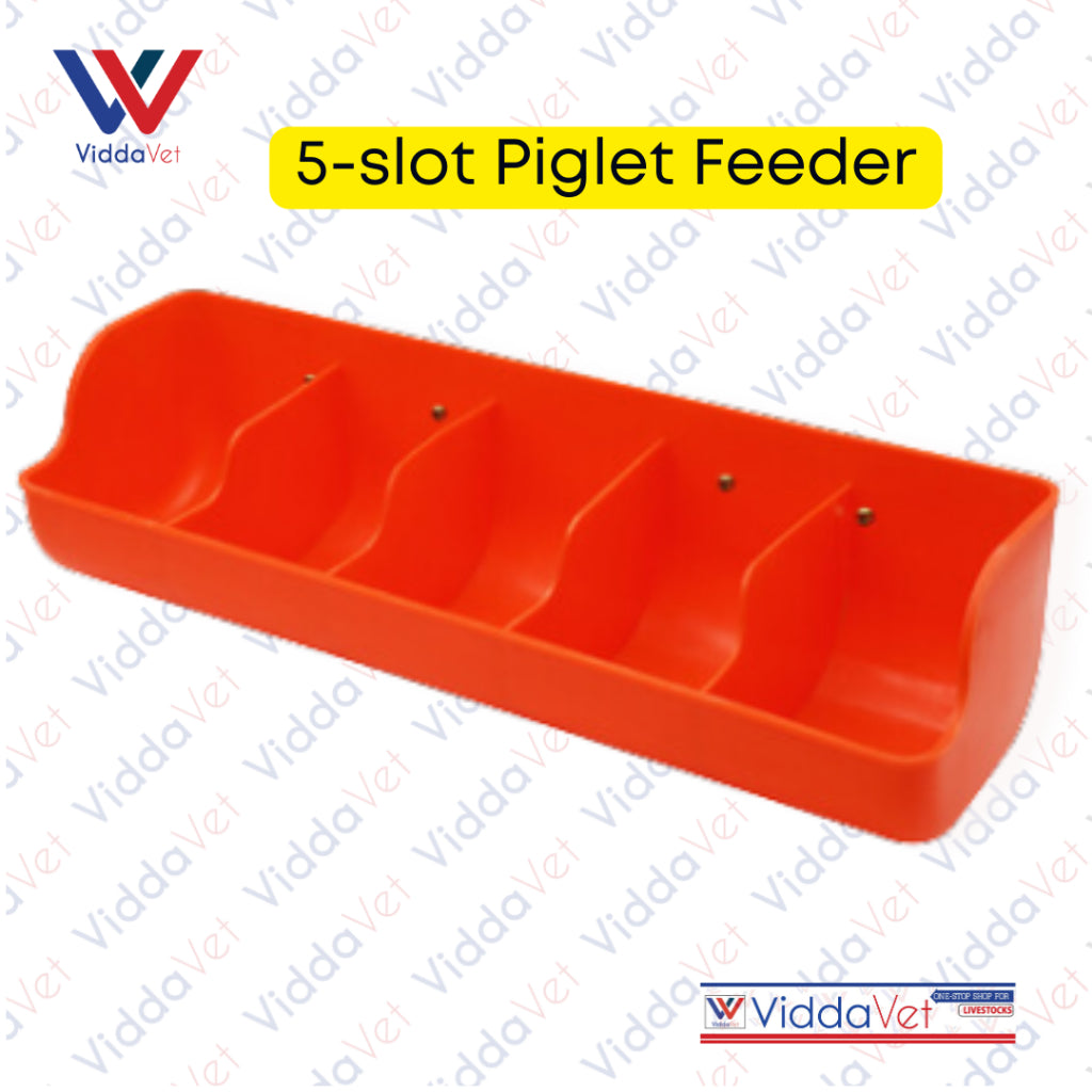 Piglet Plastic Feeder with B Meg Super Biik Booster Milk