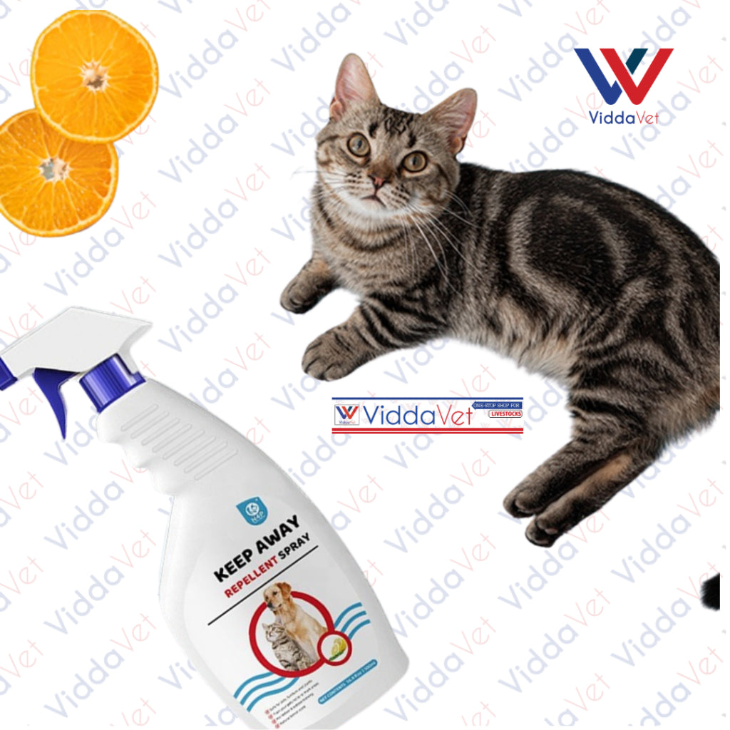 N4P Repellant Spray 500ml