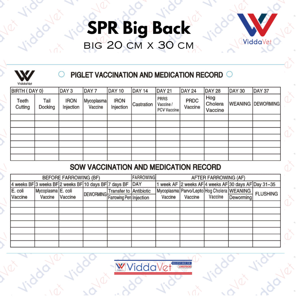 Sow Performance Card PVC