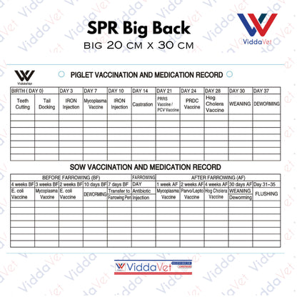 Sow Performance Card PVC