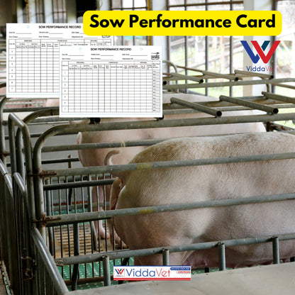 Sow Performance Card PVC