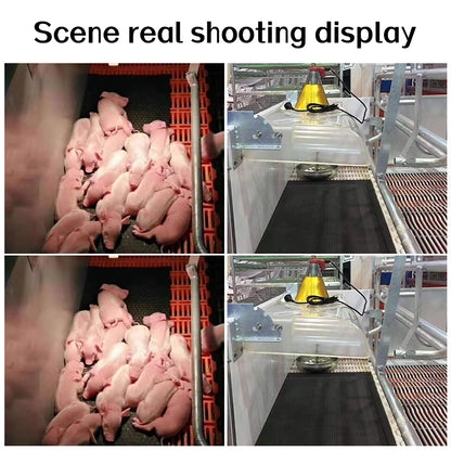 Piglet Insulation Rubber Pad