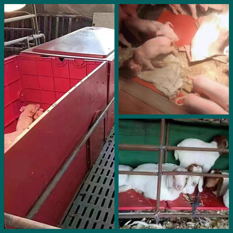 Electric Plastic Heat Pad