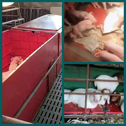 Electric Plastic Heat Pad