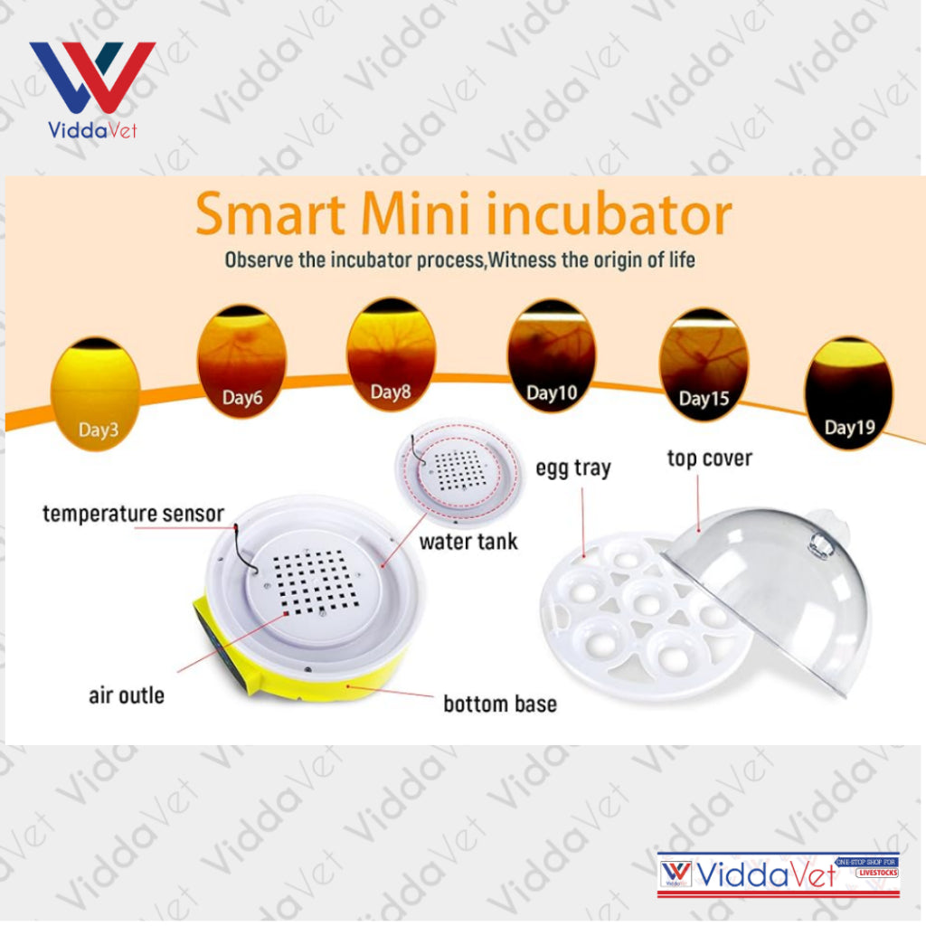 Manual Egg Incubator 7 Eggs Capacity