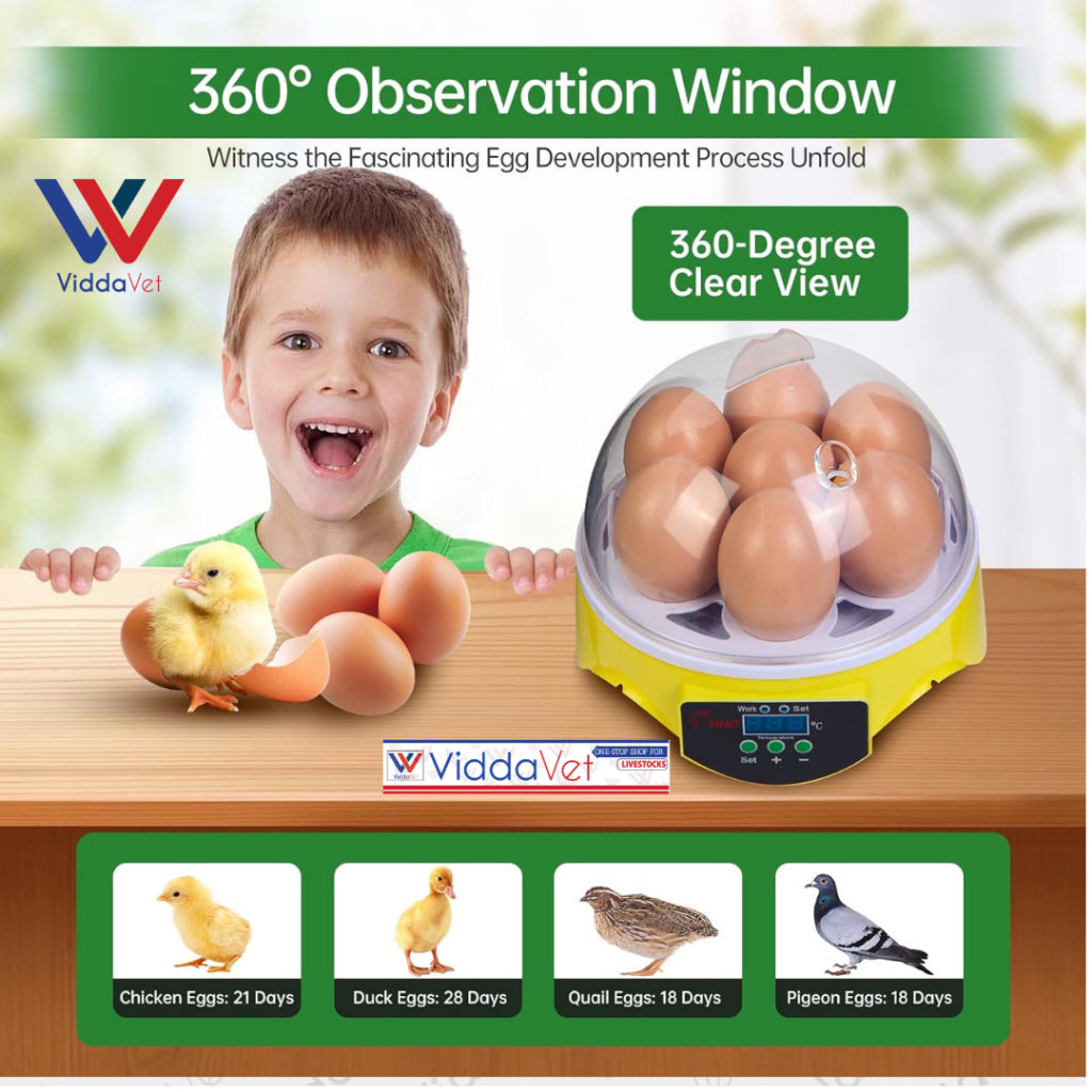 Manual Egg Incubator 7 Eggs Capacity