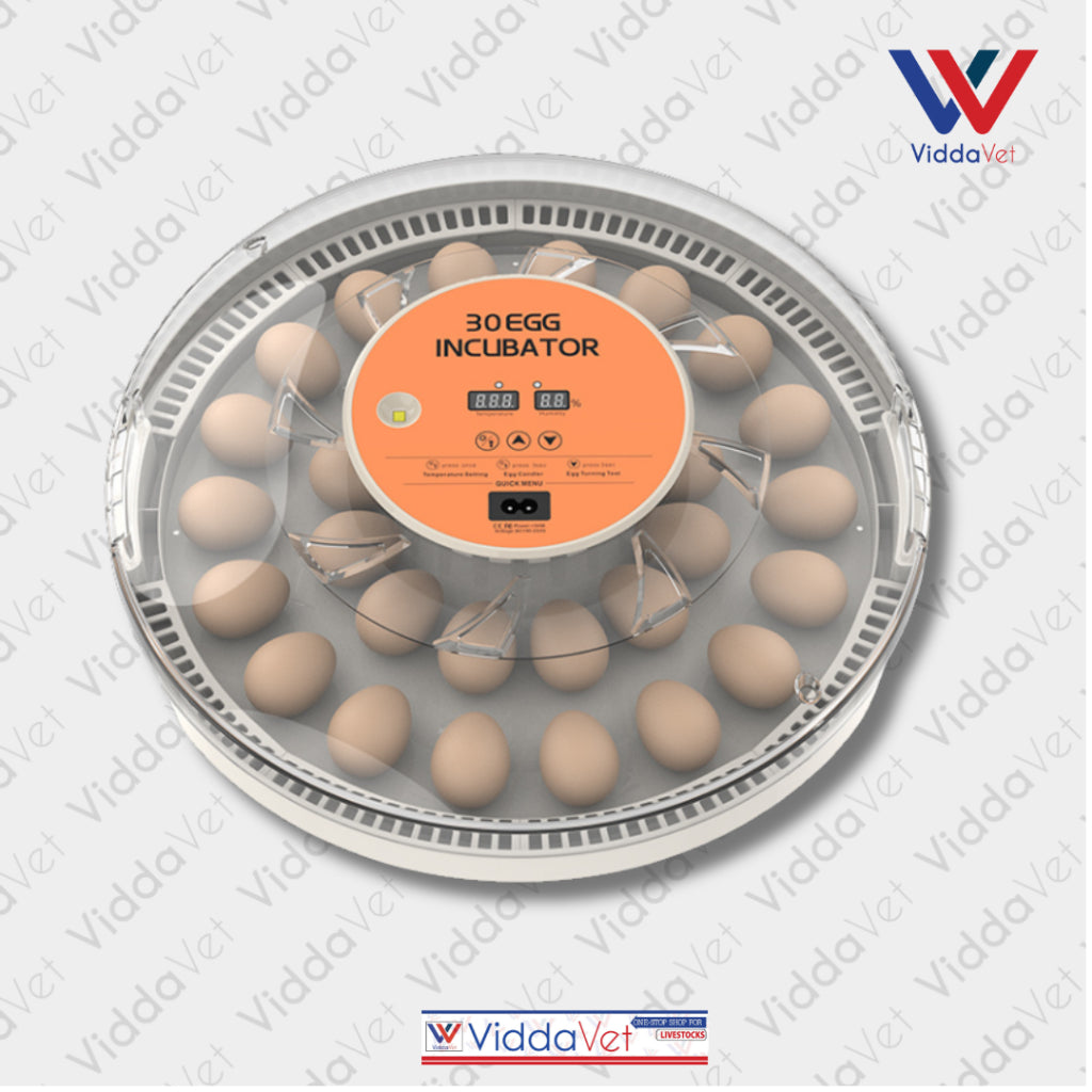 Automatic Egg Incubator 30 Eggs Capacity