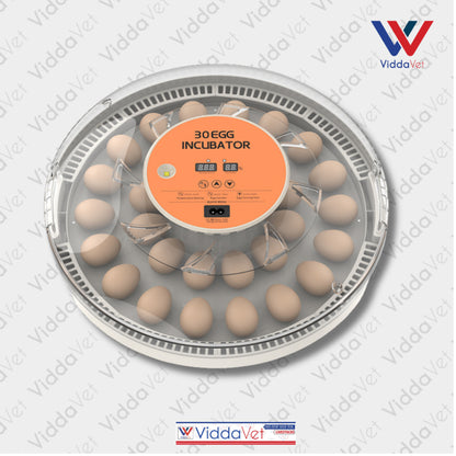 Automatic Egg Incubator 30 Eggs Capacity