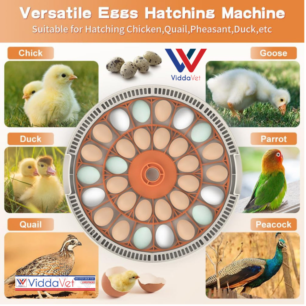 Automatic Egg Incubator 30 Eggs Capacity