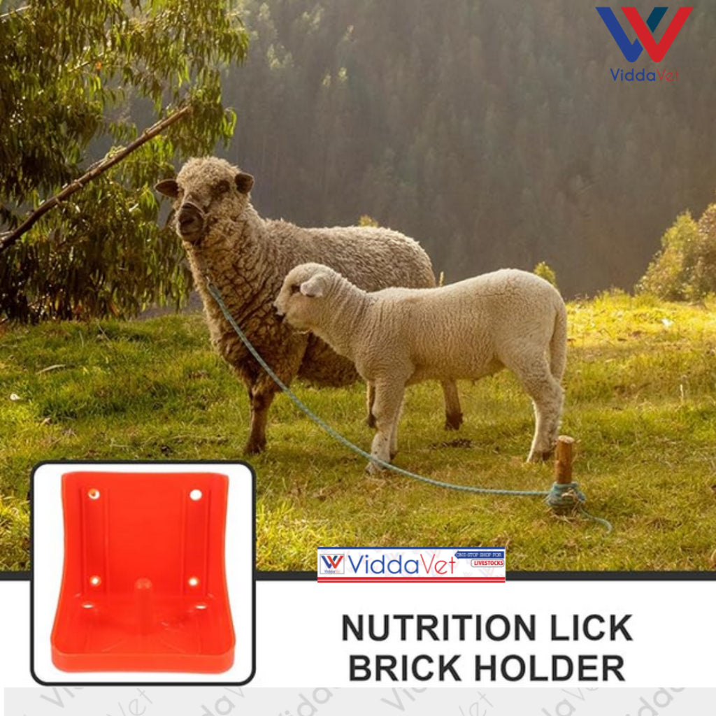 Mineral Block Holder