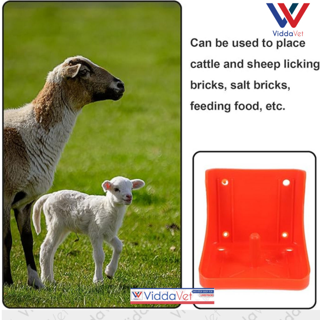 Mineral Block Holder