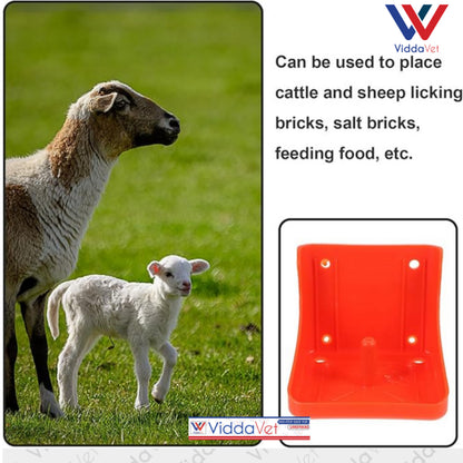 Mineral Block Holder