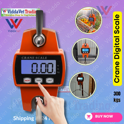 Crane Digital Scale 300kg