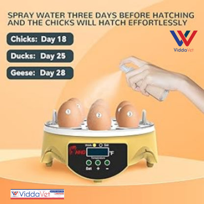 Manual Egg Incubator 7 Eggs Capacity