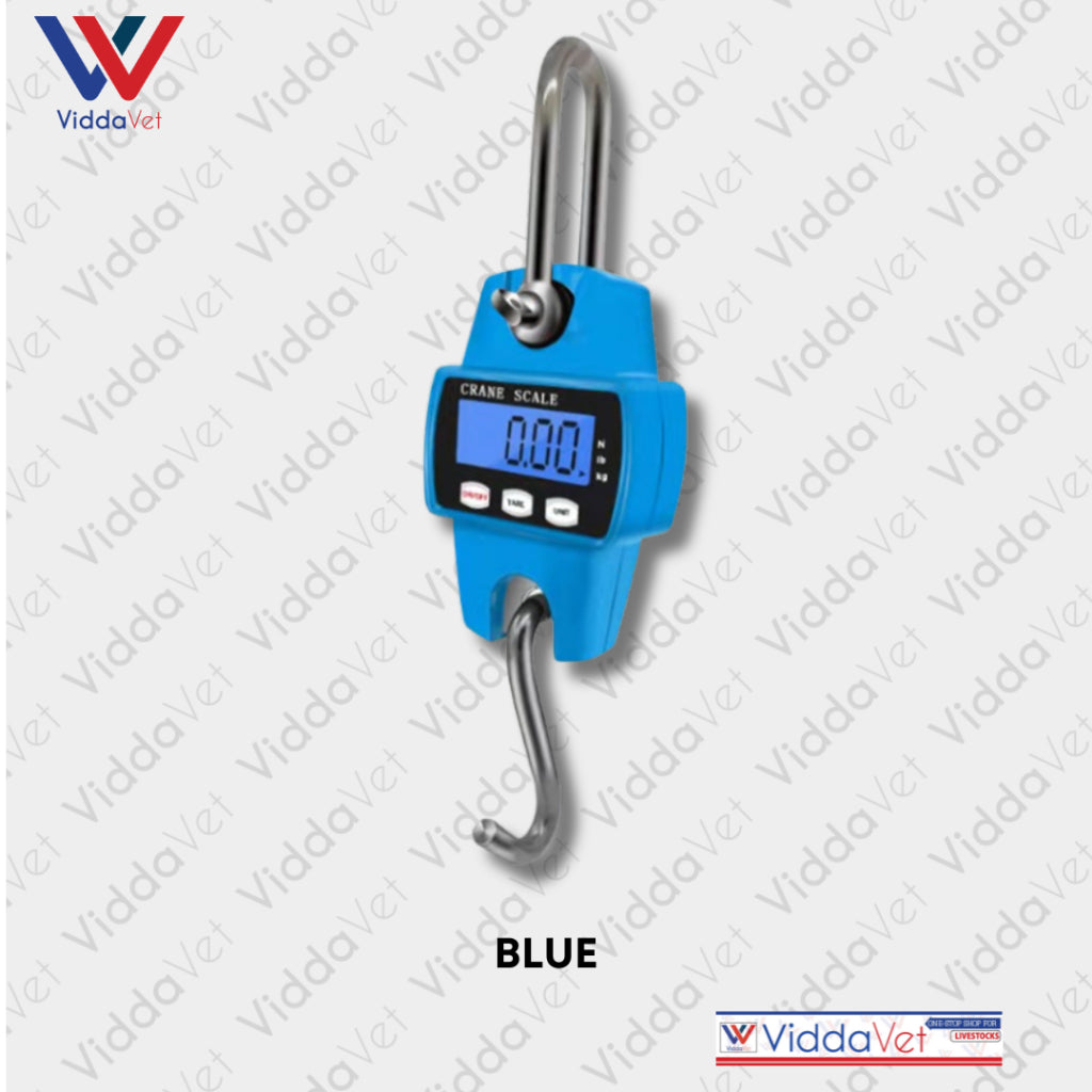 Crane Digital Scale 300kg