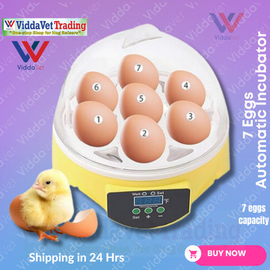 Manual Egg Incubator 7 Eggs Capacity