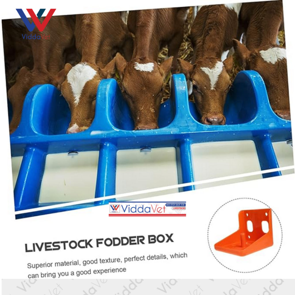 Mineral Block Holder