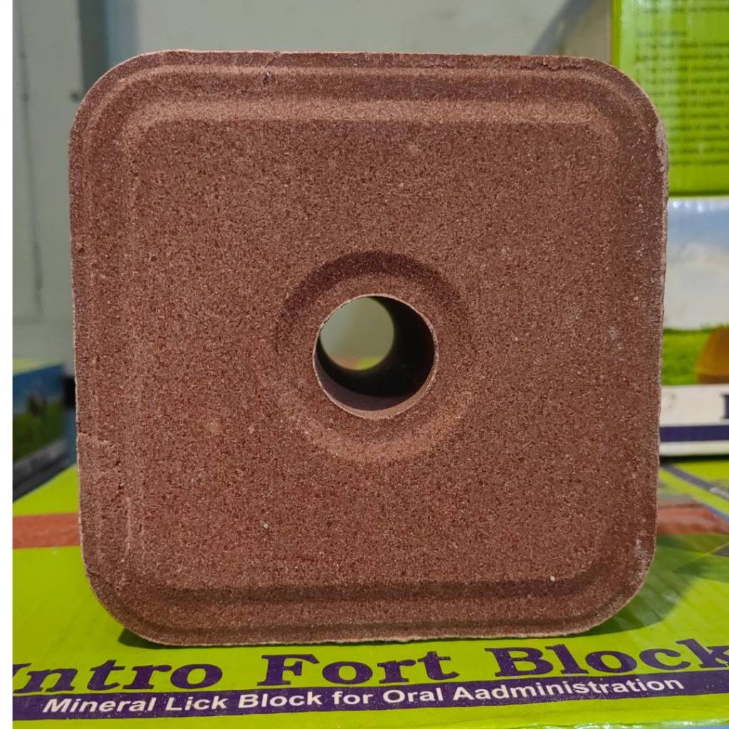 Mineral Block Intro Fort