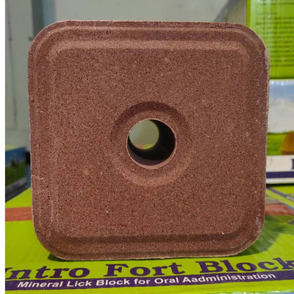 Mineral Block Intro Fort