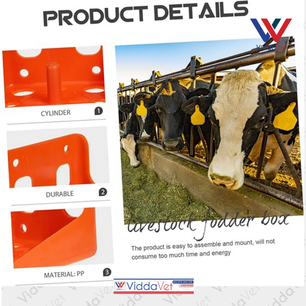 Mineral Block Holder