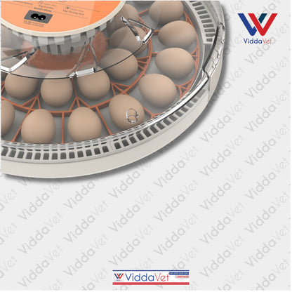 Automatic Egg Incubator 30 Eggs Capacity