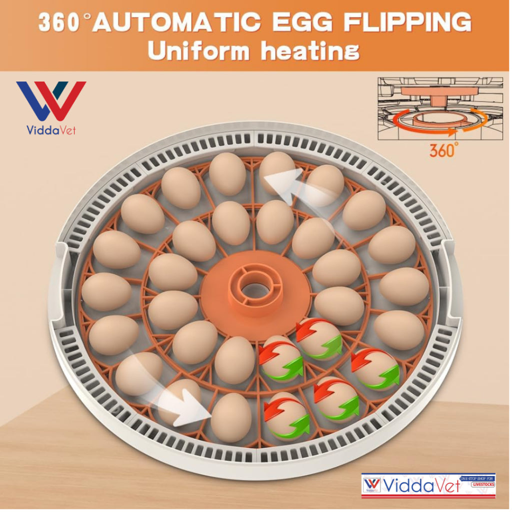 Automatic Egg Incubator 30 Eggs Capacity