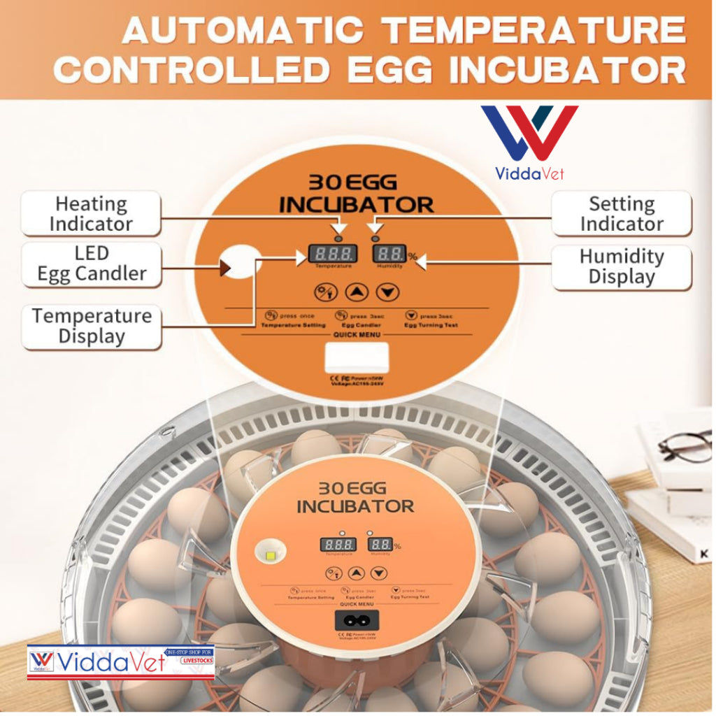Automatic Egg Incubator 30 Eggs Capacity