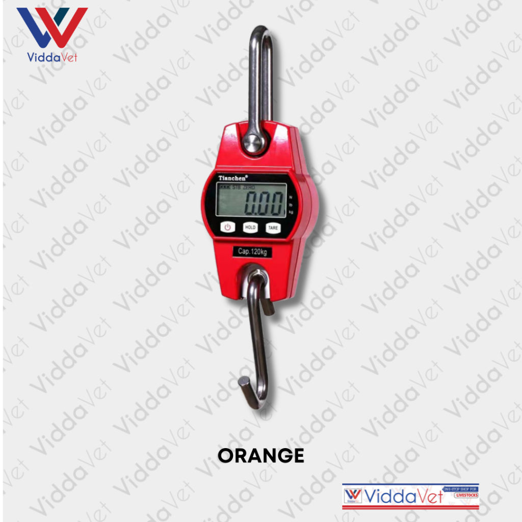 Crane Digital Scale 300kg