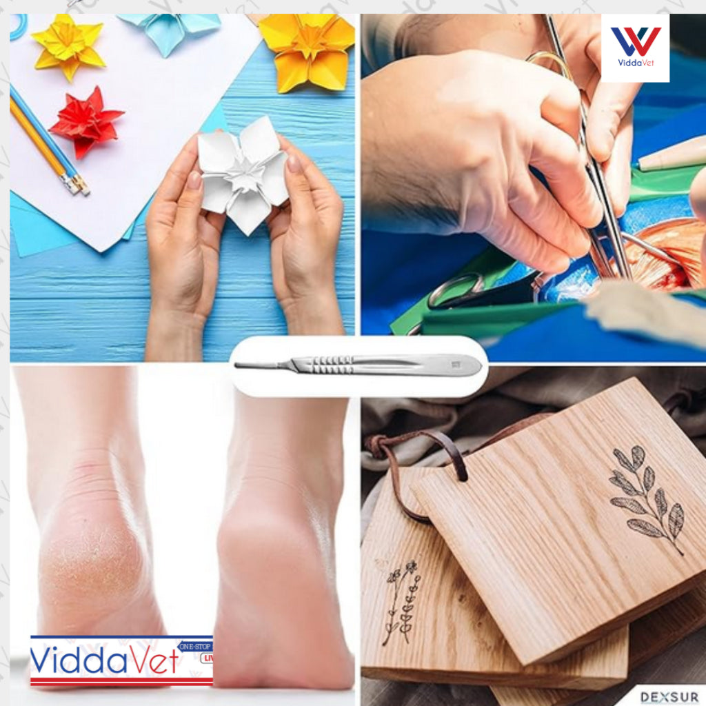 Scalpel Handle & Blade