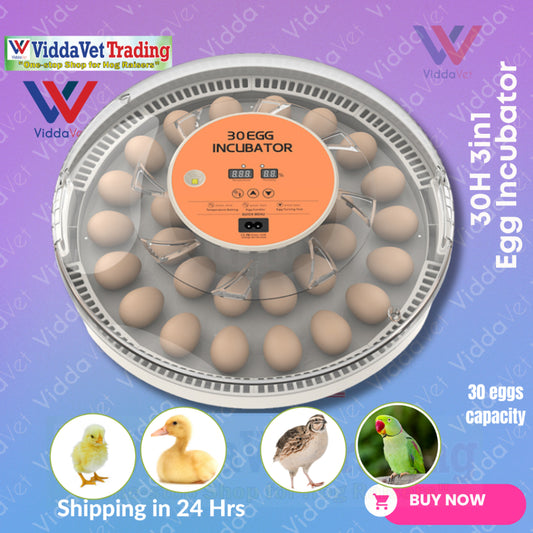 Automatic Egg Incubator 30 Eggs Capacity