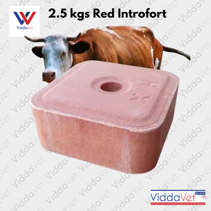 Mineral Block Intro Fort