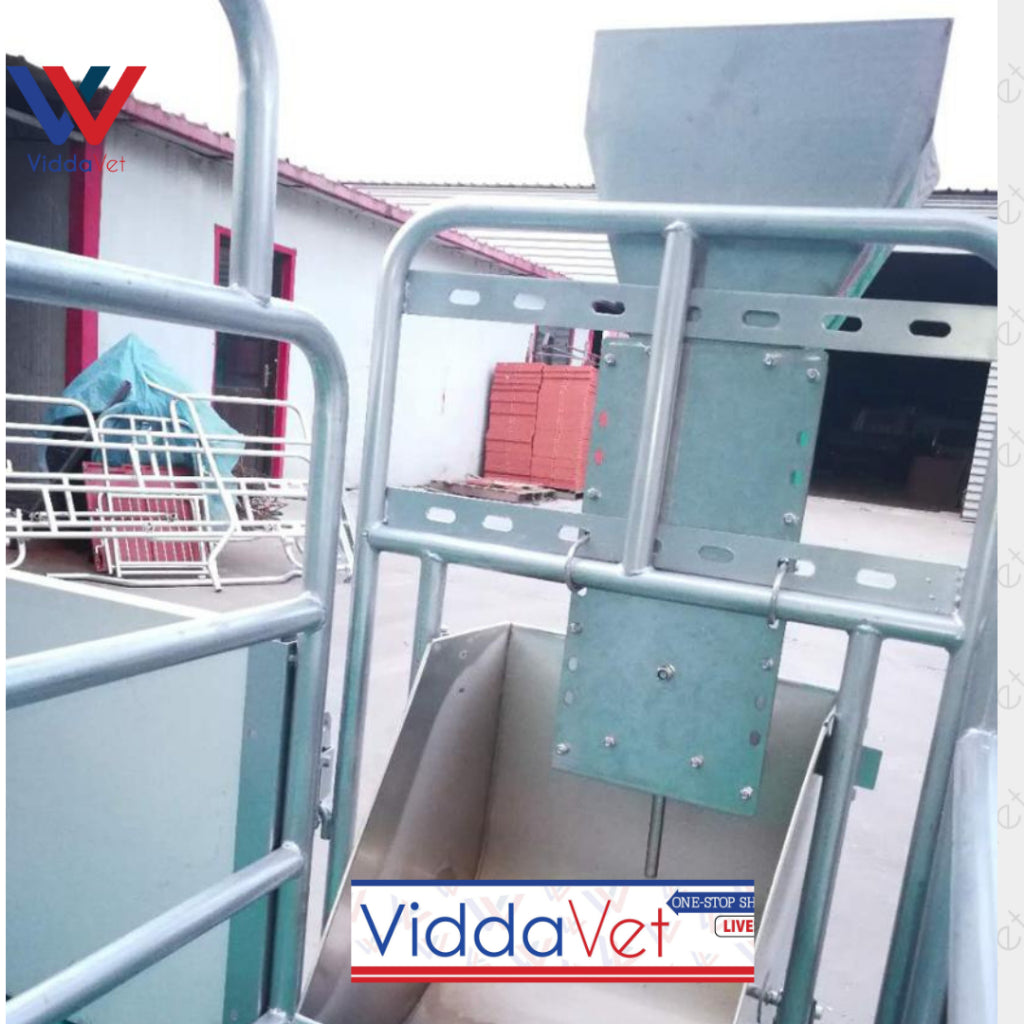 Semi Automatic Pig Feeder