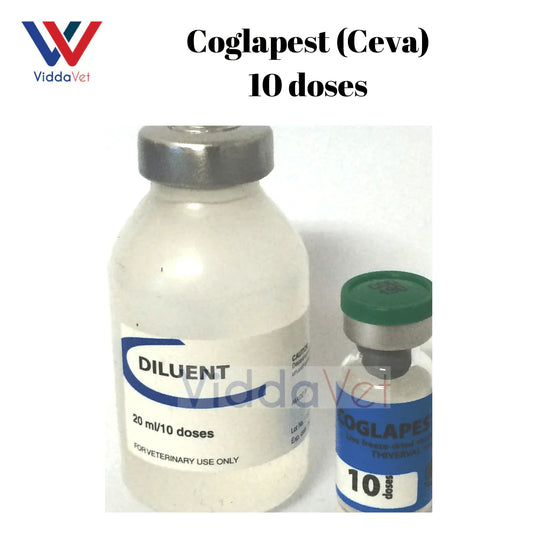 Coglapest 10 doses (Ceva)