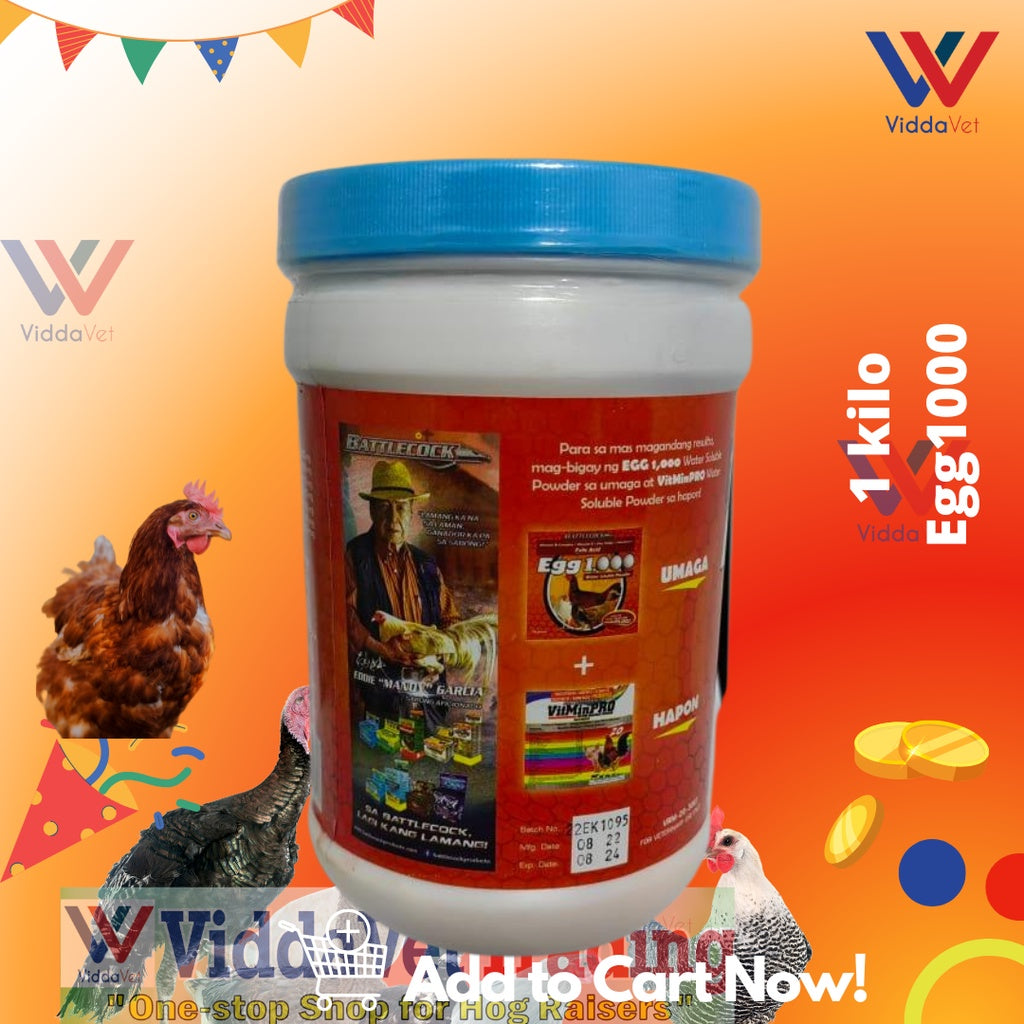 Egg 1000 1kg