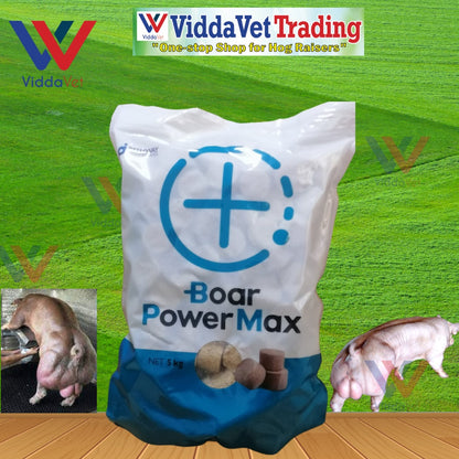 Boar Power Max 5KG