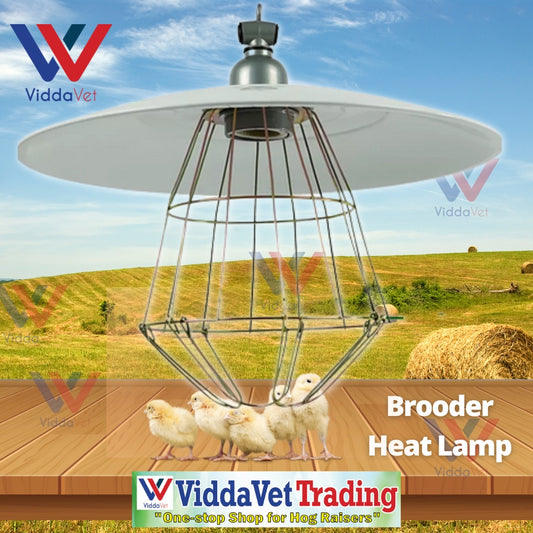 Brooder Metal Heat Lamp Shade with Bulb