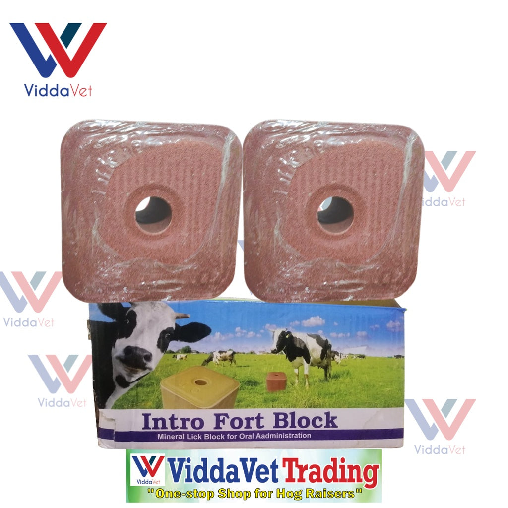 Intro Fort Mineral Block 5KGS