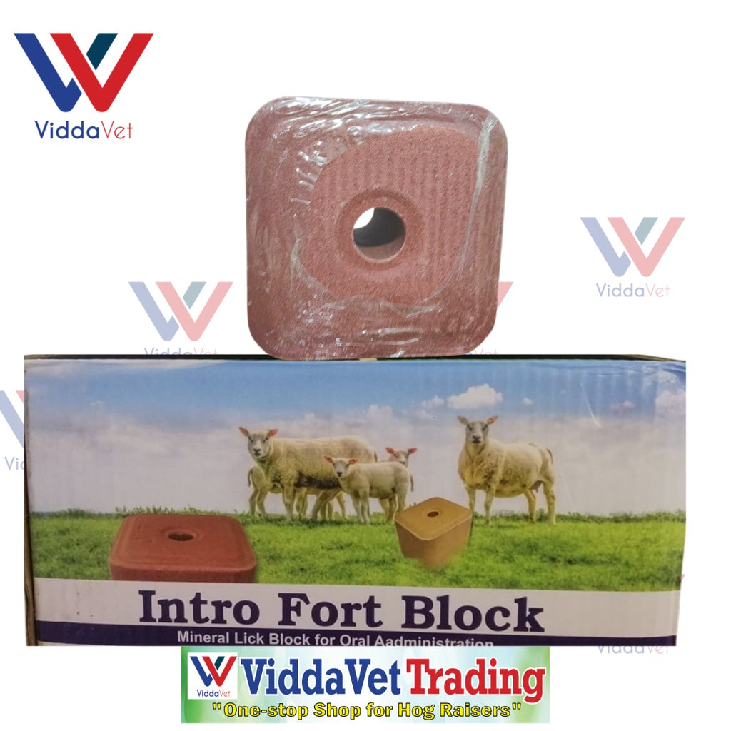 Intro Fort Mineral Block 5KGS