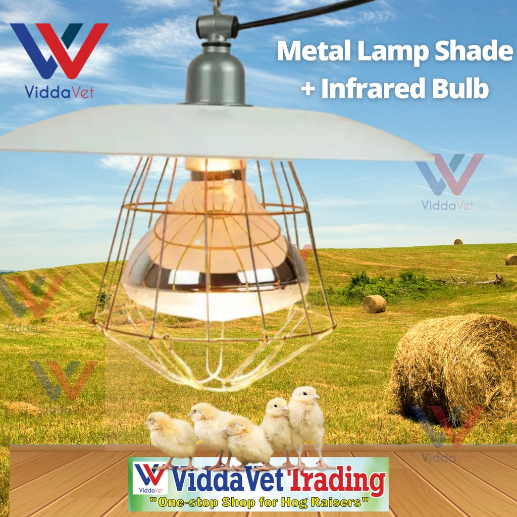 Metal Heat lamp shade with net + bulb guard brooder lamp brooder heat lamp with infrared bulb