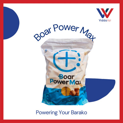 Boar Power Max 1kg