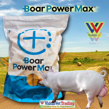 Boar Power Max 1kg