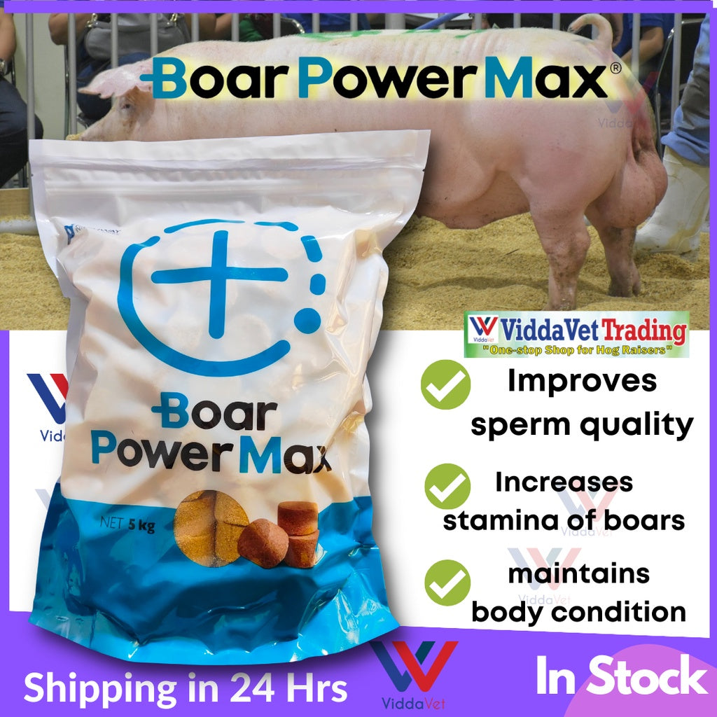 Boar Power Max 1kg
