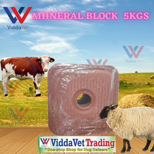 Intro Fort Mineral Block 5KGS