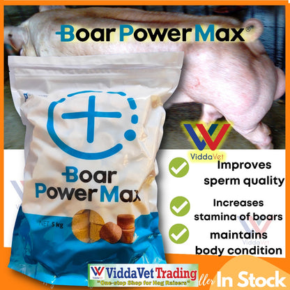 Boar Power Max 1kg