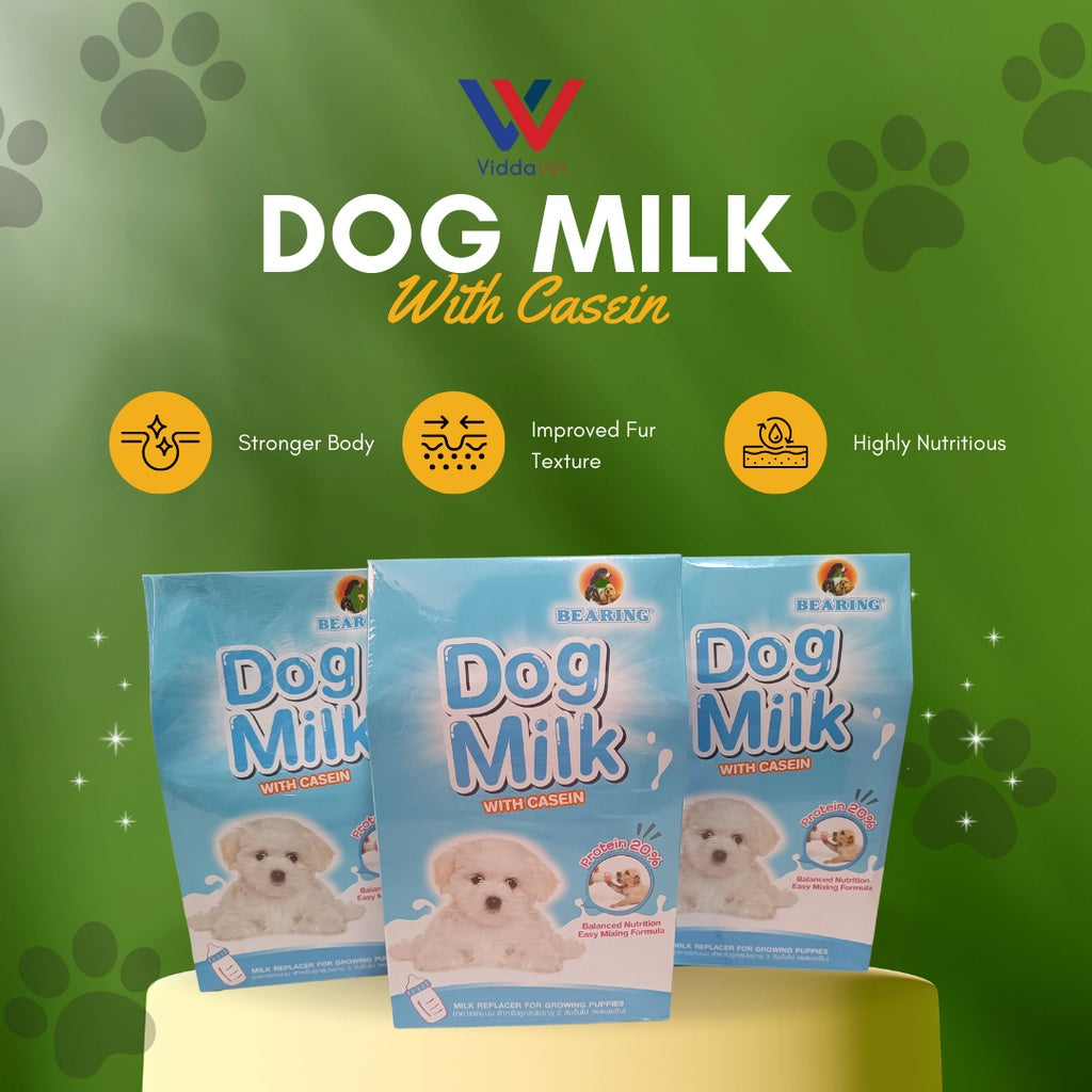 Bearing Dog Milk 300g